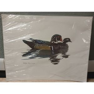 Sloan Mallard Ducks Print